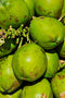Group of Fresh unopened green Coconut Fruit Shells